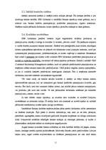 Prakses atskaite 'Prakses atskaite "SEB Unibanka"', 11.