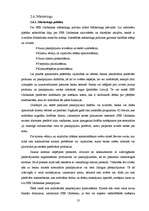 Prakses atskaite 'Prakses atskaite "SEB Unibanka"', 13.