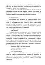 Prakses atskaite 'Prakses atskaite "SEB Unibanka"', 14.