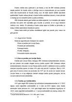 Prakses atskaite 'Prakses atskaite "SEB Unibanka"', 19.