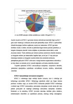 Referāts 'Tūrisma informācijas centrs un Rīgas Tūrisma koordinācijas un informācijas centr', 9.
