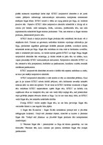 Referāts 'Tūrisma informācijas centrs un Rīgas Tūrisma koordinācijas un informācijas centr', 12.