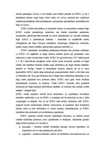 Referāts 'Tūrisma informācijas centrs un Rīgas Tūrisma koordinācijas un informācijas centr', 14.