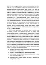 Referāts 'Tūrisma informācijas centrs un Rīgas Tūrisma koordinācijas un informācijas centr', 19.