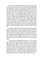 Referāts 'Tūrisma informācijas centrs un Rīgas Tūrisma koordinācijas un informācijas centr', 21.