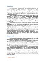 Referāts 'Putni', 1.