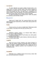 Referāts 'Putni', 7.