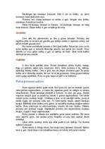 Referāts 'Putni', 8.