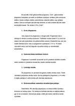 Konspekts 'Grāmatvedības programmas DAIS analīze', 2.