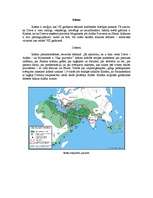 Referāts 'Islāms', 1.