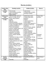 Konspekts 'Dalām ar divciparu skaitli. Matemātikas stundas plāns', 2.