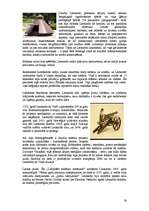 Referāts 'Leonardo da Vinči', 16.