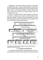 Referāts 'Finanšu analīze un dokumentu apgrozība', 38.