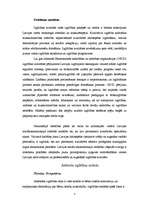 Referāts 'Kvalitatīvas skolas attīstības iespējas un pilnveidošana', 3.