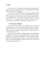 Referāts 'SARS-COV-2 (COVID - 19) vīrusa infekcijas iespējamā ietekme uz sirds – asinsvadu', 8.