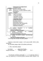 Diplomdarbs 'Muitas noliktavas darbības optimizācija', 39.