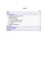 Referāts 'Korporatīvās sociālās atbildības īstenošana uzņēmumā', 3.