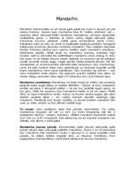 Referāts 'Mandarīni', 1.