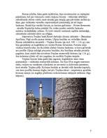 Referāts 'Senās Romas arhitektūra', 8.