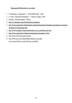 Referāts 'Napoleona dzīves spilgtākie posmi', 20.