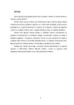 Prakses atskaite 'Gaisa kuģu apkope', 4.