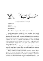 Prakses atskaite 'Gaisa kuģu apkope', 14.