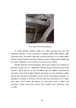 Prakses atskaite 'Gaisa kuģu apkope', 18.