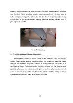 Prakses atskaite 'Gaisa kuģu apkope', 21.