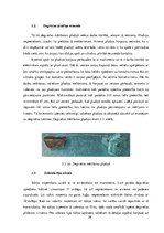 Prakses atskaite 'Gaisa kuģu apkope', 26.