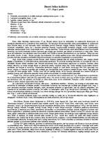 Konspekts 'Jauno laiku kultūra', 1.