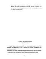 Diplomdarbs 'Lauku tūrisms Kurzemē', 11.