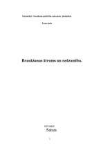 Referāts 'Braukšanas ātrums un redzamība', 1.