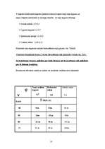 Referāts 'Braukšanas ātrums un redzamība', 10.