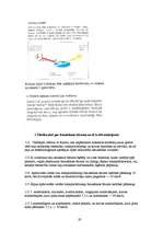 Referāts 'Braukšanas ātrums un redzamība', 19.