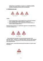 Referāts 'Braukšanas ātrums un redzamība', 21.