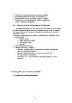 Referāts 'Braukšanas ātrums un redzamība', 31.