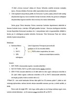 Referāts 'Latvijas - Krievijas sauszemes noteikšanas ekonomiskie, politiskie un starptauti', 5.