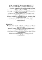 Konspekts 'Kavasaki slimība', 2.