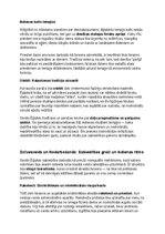 Konspekts 'Seno ēģiptiešu vēsture, kultūra, mitoloģija, sabiedrība un kultūras mantojums', 11.