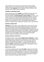 Konspekts 'Seno ēģiptiešu vēsture, kultūra, mitoloģija, sabiedrība un kultūras mantojums', 12.