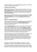 Konspekts 'Seno ēģiptiešu vēsture, kultūra, mitoloģija, sabiedrība un kultūras mantojums', 14.