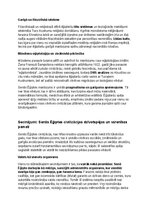 Konspekts 'Seno ēģiptiešu vēsture, kultūra, mitoloģija, sabiedrība un kultūras mantojums', 38.