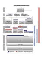 Referāts 'Pamatizglītība Latvijā un Zviedrijā', 2.