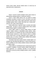 Prakses atskaite 'Grāmatvedības darba organizācija budžeta iestādē', 16.