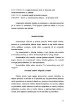 Prakses atskaite 'Grāmatvedības darba organizācija budžeta iestādē', 31.