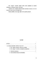 Prakses atskaite 'Grāmatvedības darba organizācija budžeta iestādē', 38.