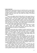 Referāts 'Zīmes', 15.