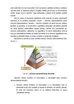 Eseja 'Aktuāla dabaszinātņu problēma - atkritumi', 3.