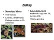 Prezentācija 'Indomalajas bioģeogrāfiskais apgabals', 7.
