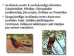 Prezentācija 'Indomalajas bioģeogrāfiskais apgabals', 15.